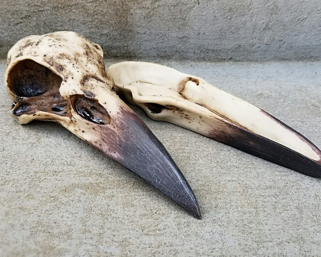 Raven Skull Jewelry Box, Gothic Decor, Crow Skull Trinket Box